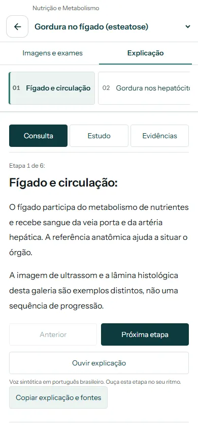 Aba Explicação no celular