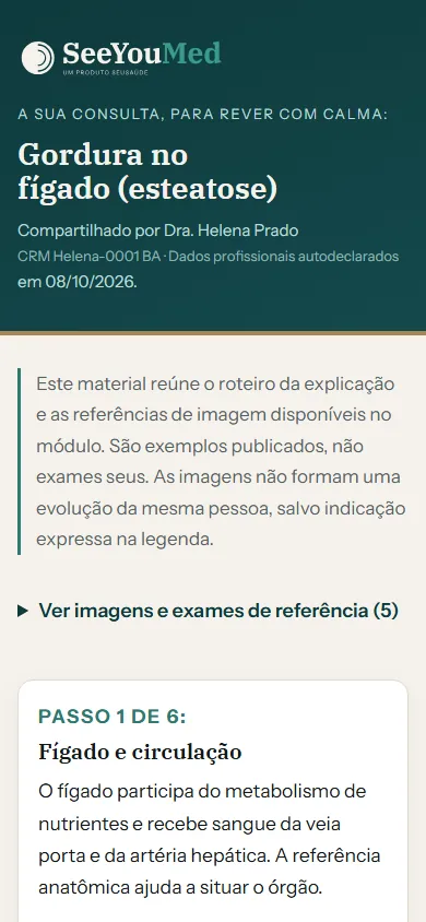 Resumo da consulta aberto no celular do paciente